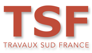 Logo TSF